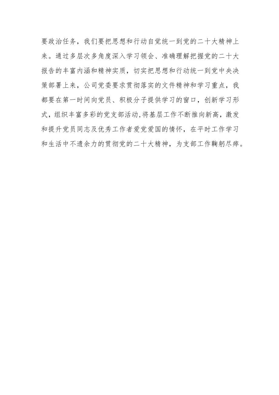 党支部书记学习贯彻党的二十大精神心得体会.docx_第3页