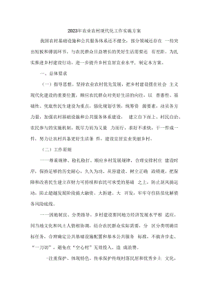 区县2023年农业农村现代化工作实施专项方案 汇编4份.docx