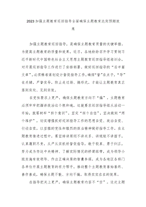 2023加强主题教育巡回指导全面确保主题教育达到预期效果2篇.docx