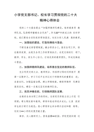 小学党支部书记、校长学习贯彻党的二十大精神心得体会.docx