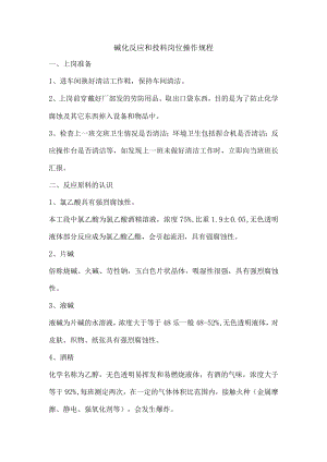 碱化反应和投料岗位操作规程.docx