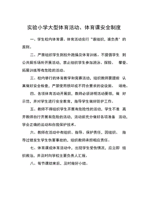 实验小学大型体育活动、体育课安全制度.docx