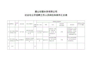 眉山甘眉水务有限公司社会化公开招聘工作人员岗位和条件汇总表.docx