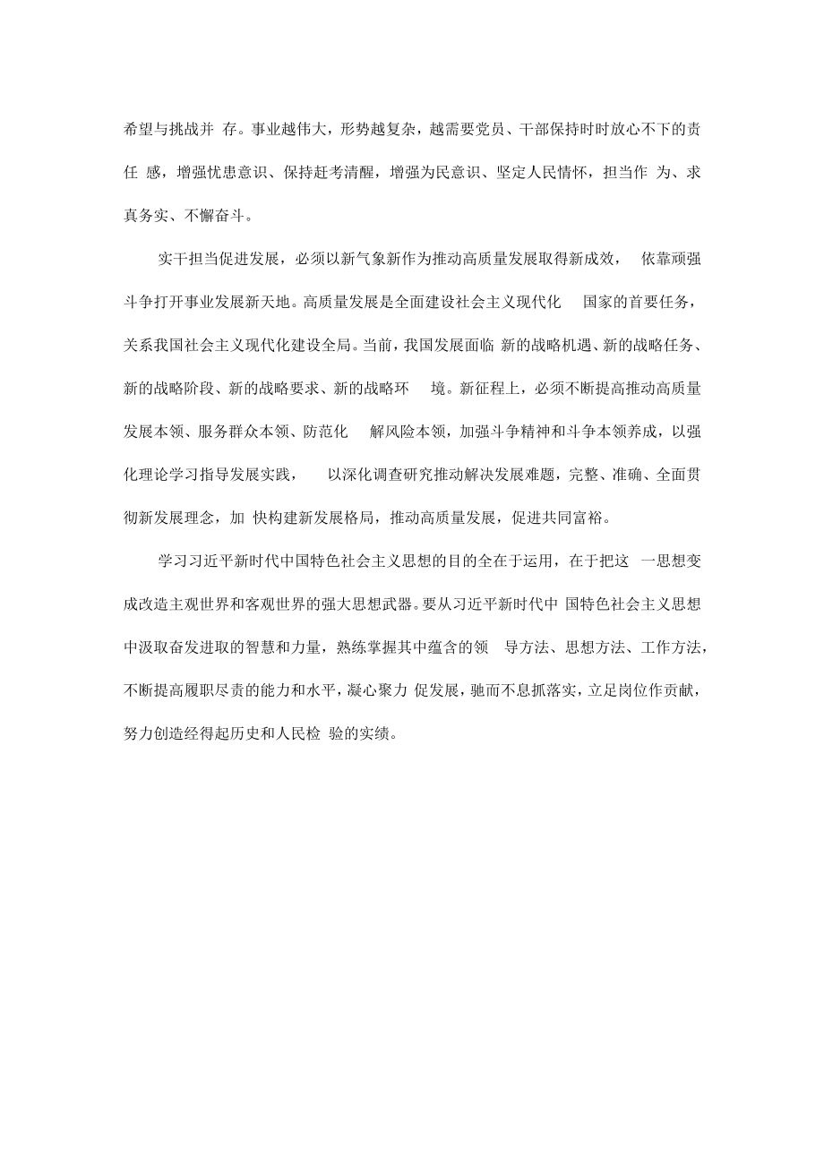 实干担当促进发展全文.docx_第2页
