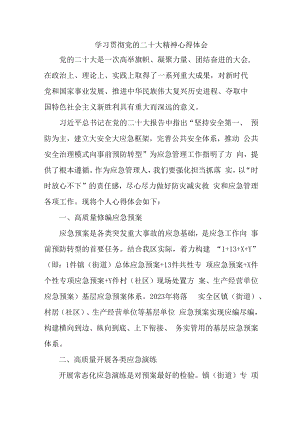 应急管理局执法大队负责人《学习贯彻党的二十大精神》心得体会 汇编11份.docx