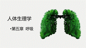 人体生理学——呼吸.pptx