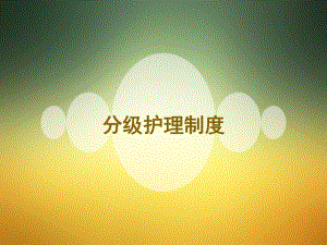 分级护理制度PPT.pptx