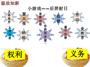 依法履行义务义务.pptx