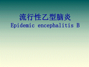 乙脑培训课件.pptx