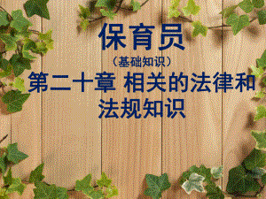 保育员第二十章.pptx