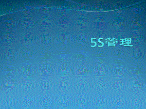 5S案例分析.pptx