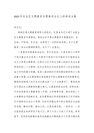 2023年在全区主题教育专题推进会议上的讲话2篇.docx