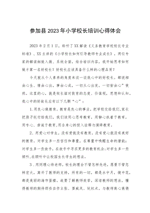 关于参加2023年小学校长培训的心得体会三篇.docx