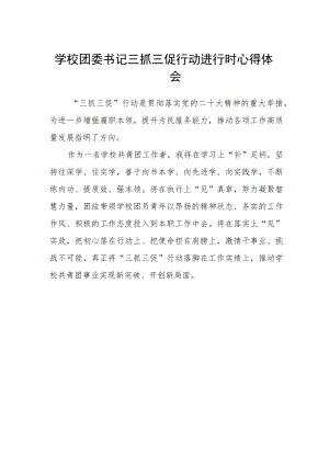 学校团委书记三抓三促行动进行时心得体会.docx