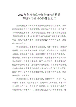 2023年纪检监察干部队伍教育整顿专题学习研讨心得体会之二.docx
