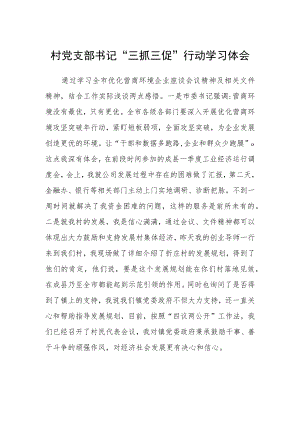 村党支部书记“三抓三促”行动学习体会.docx