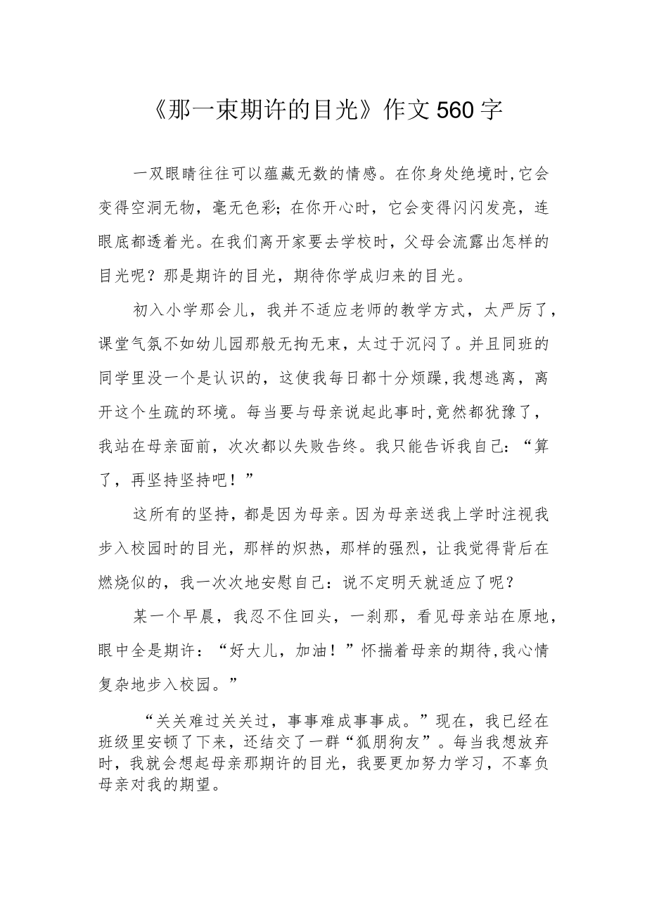 《那一束期许的目光》作文560字.docx_第1页