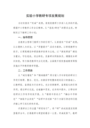 实验小学教研专项发展规划.docx