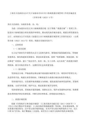 上海市人民政府办公厅关于加强本市长江河口海域重叠区域管理工作的实施意见.docx
