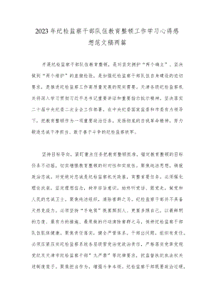 2023年纪检监察干部队伍教育整顿工作学习心得感想范文稿两篇.docx