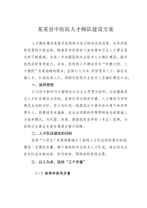 某某县中医院人才梯队建设方案.docx