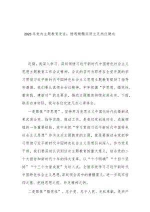 2023年党内主题教育发言：悟透精髓实质 立足岗位建功.docx