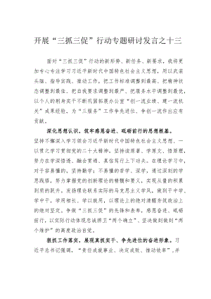 开展“三抓三促”行动专题研讨发言之十三.docx