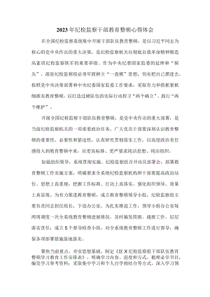 2023年纪检监察干部教育整顿心得体会二.docx