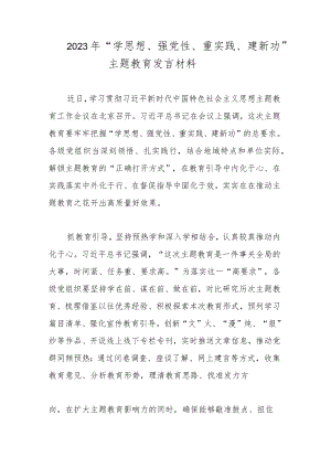 2023年“学思想、强党性、重实践、建新功”主题教育发言材料.docx