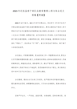 2023年纪检监察干部队伍教育整顿心得与体会范文简稿【两篇】.docx