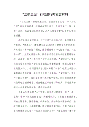“三抓三促”行动进行时发言材料.docx