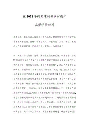 在2023年的党建引领乡村振兴典型经验材料.docx