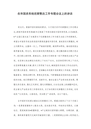 在市国资系统巡察整改工作专题会议上的讲话.docx