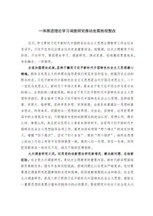 一体推进理论学习、调查研究、推动发展、检视整改.docx