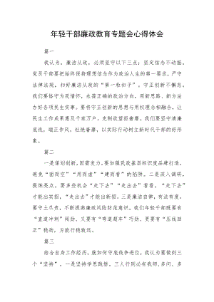 年轻干部廉政教育专题会心得体会三篇.docx