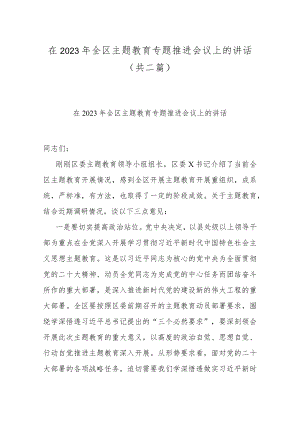 在2023年全区主题教育专题推进会议上的讲话(共二篇).docx