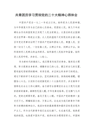 共青团员学习贯彻党的二十大精神心得体会.docx