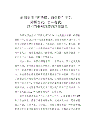 能源集团“两珍惜、两保持”征文：踔厉奋发奋斗有我以担当书写赶超跨越新篇章.docx