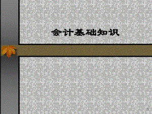 会计基础知识.pptx