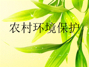 农村环境保护.pptx