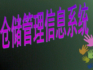 仓储管理系统.pptx