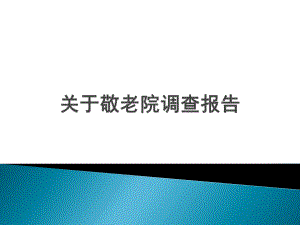 养老院调查研究报告.pptx