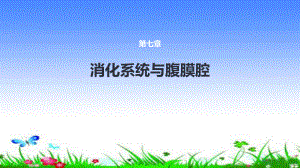 急腹症影像学检查.pptx