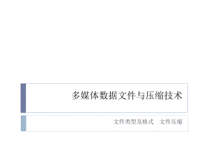多媒体数据文件.pptx