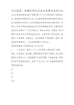 长江医药：党建引领化为企业发展内生动力.docx