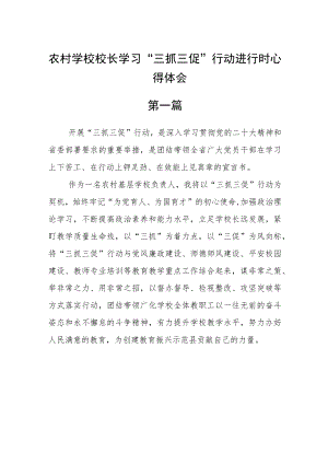 农村学校校长学习“三抓三促”行动进行时心得体会五篇.docx