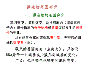 微生物基因突变.pptx