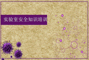 实验室实验室里的安全知识.pptx