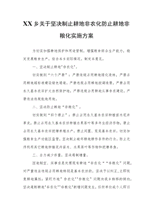 XX乡关于坚决制止耕地非农化防止耕地非粮化实施方案.docx