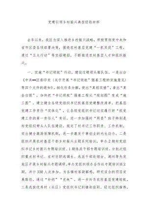 党建引领乡村振兴典型经验材料.docx